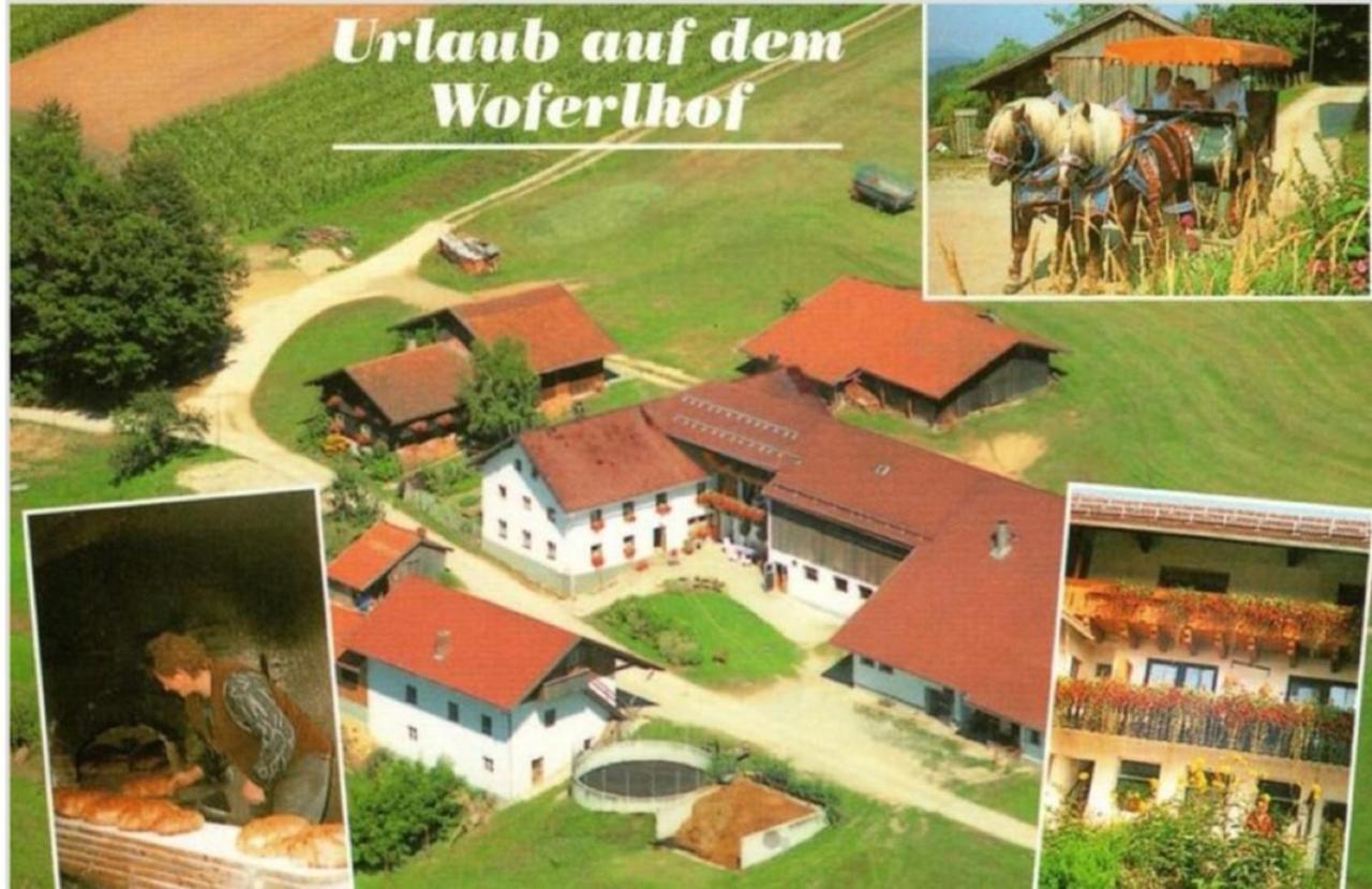 Woferlhof, Ferienhof Boxhorn Böbrach エクステリア 写真