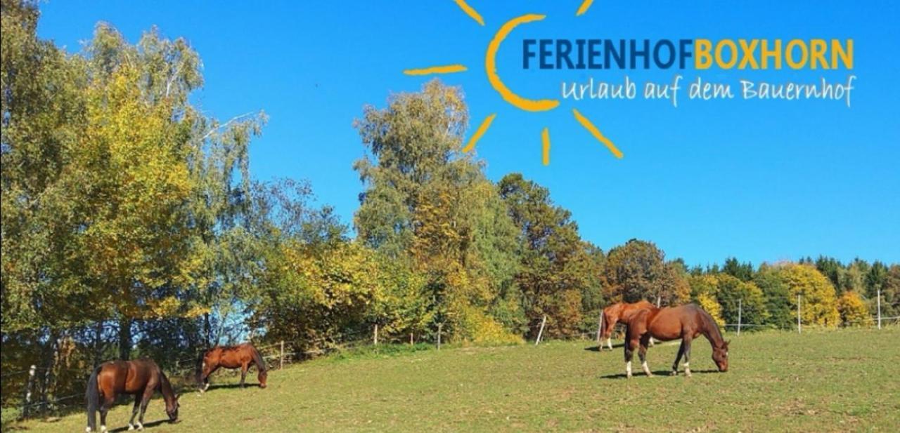 Woferlhof, Ferienhof Boxhorn Böbrach エクステリア 写真