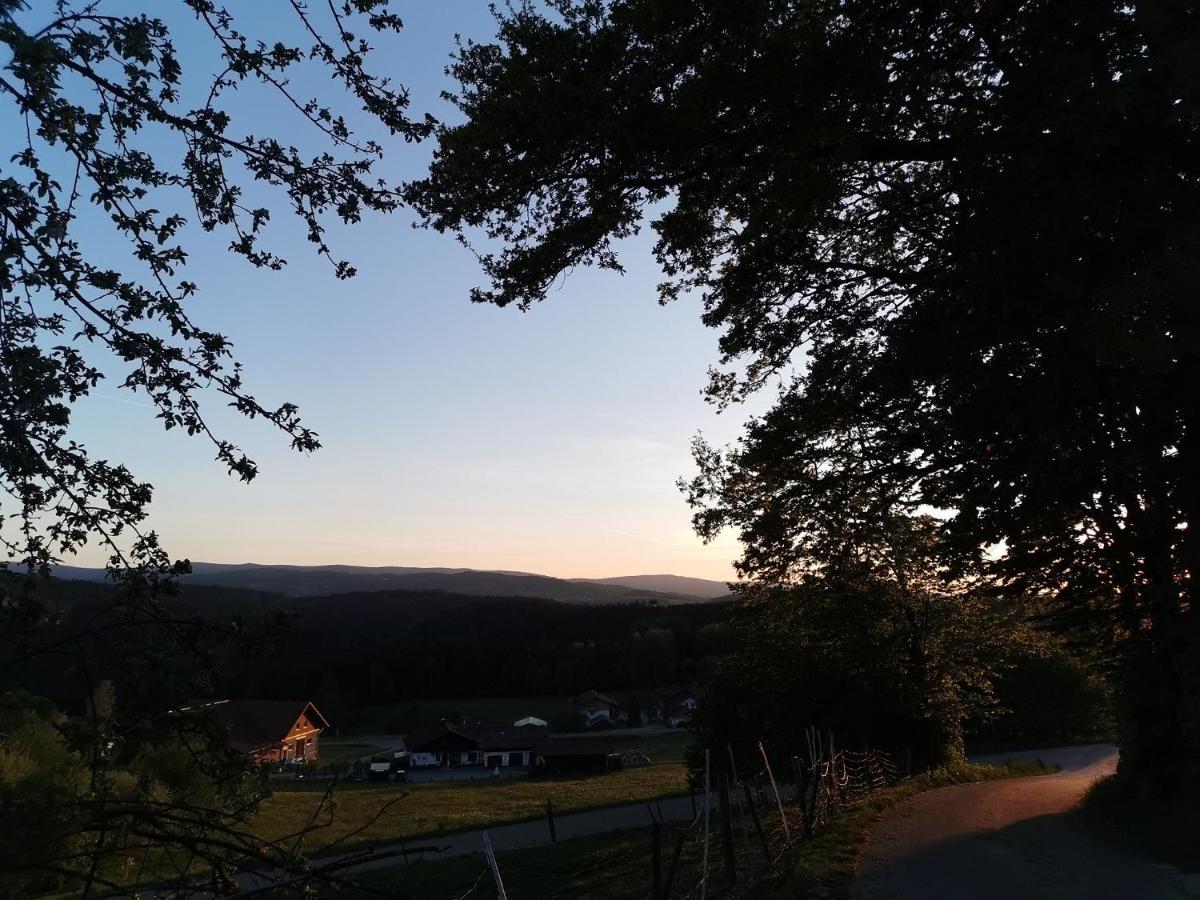 Woferlhof, Ferienhof Boxhorn Böbrach エクステリア 写真