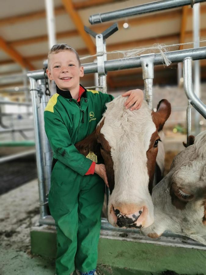 Woferlhof, Ferienhof Boxhorn Böbrach エクステリア 写真